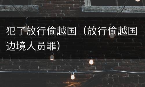 犯了放行偷越国（放行偷越国边境人员罪）