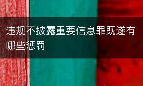 违规不披露重要信息罪既遂有哪些惩罚