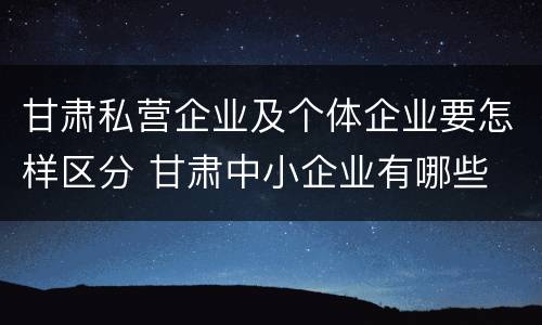 甘肃私营企业及个体企业要怎样区分 甘肃中小企业有哪些