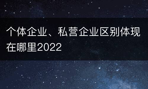 个体企业、私营企业区别体现在哪里2022