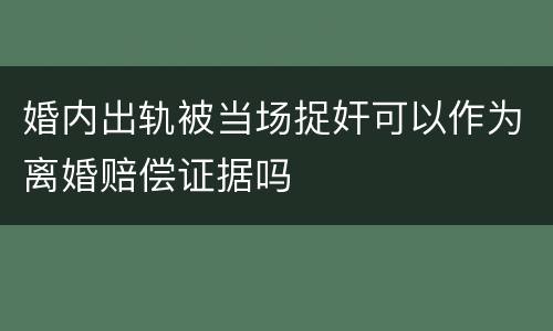 婚内出轨被当场捉奸可以作为离婚赔偿证据吗