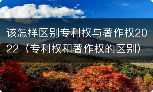 该怎样区别专利权与著作权2022（专利权和著作权的区别）