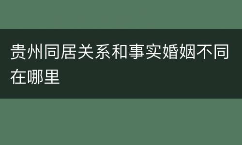 贵州同居关系和事实婚姻不同在哪里