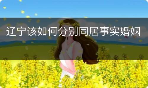辽宁该如何分别同居事实婚姻