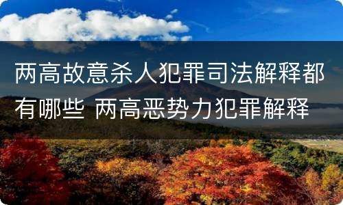 两高故意杀人犯罪司法解释都有哪些 两高恶势力犯罪解释