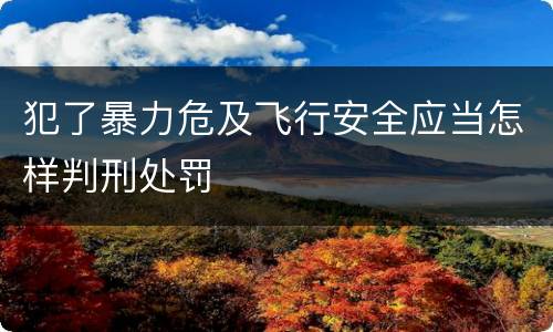 犯了暴力危及飞行安全应当怎样判刑处罚