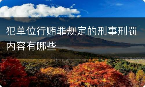 犯单位行贿罪规定的刑事刑罚内容有哪些