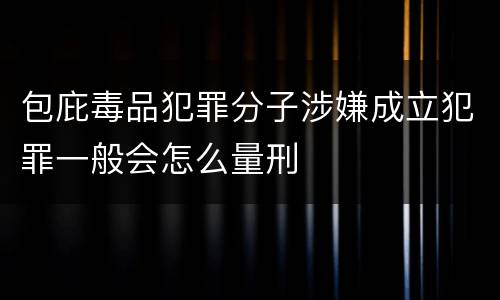 包庇毒品犯罪分子涉嫌成立犯罪一般会怎么量刑