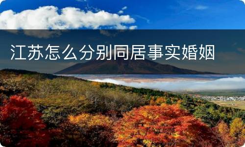 江苏怎么分别同居事实婚姻
