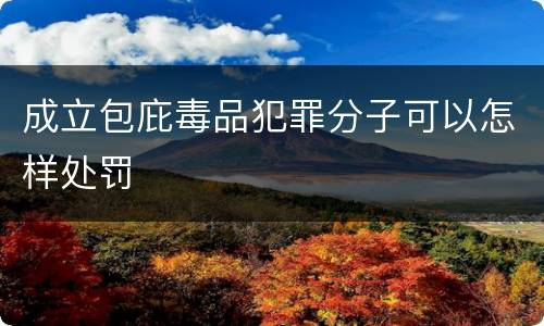 成立包庇毒品犯罪分子可以怎样处罚