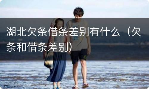 湖北欠条借条差别有什么（欠条和借条差别）