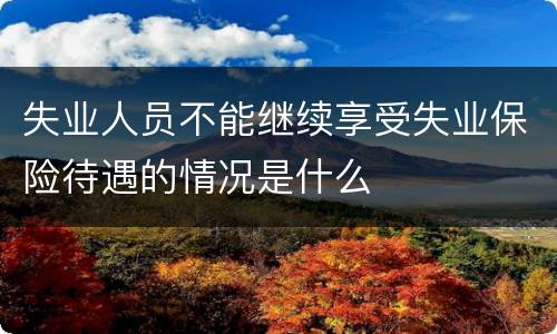 失业人员不能继续享受失业保险待遇的情况是什么