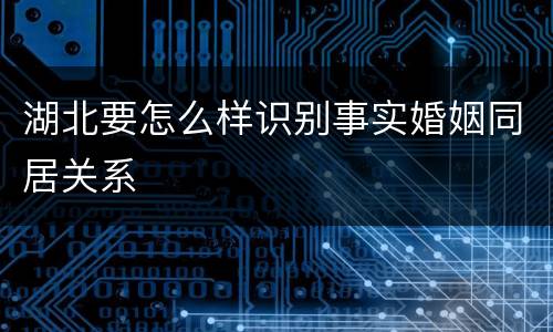 湖北要怎么样识别事实婚姻同居关系