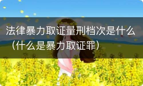 法律暴力取证量刑档次是什么（什么是暴力取证罪）