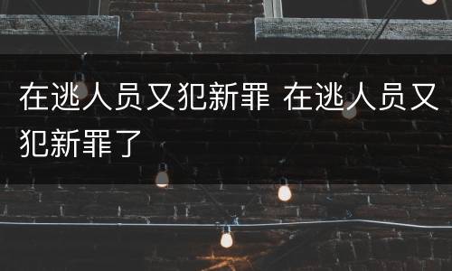 在逃人员又犯新罪 在逃人员又犯新罪了