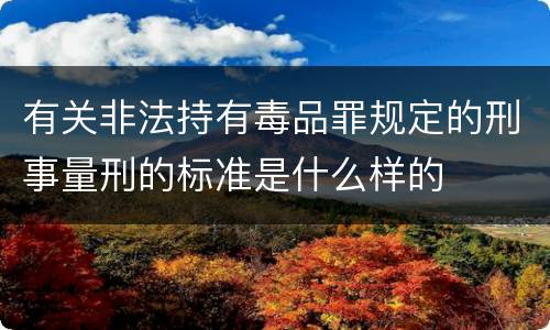 有关非法持有毒品罪规定的刑事量刑的标准是什么样的