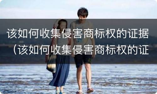 该如何收集侵害商标权的证据（该如何收集侵害商标权的证据呢）