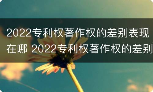 2022专利权著作权的差别表现在哪 2022专利权著作权的差别表现在哪些方面?