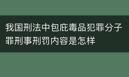 我国刑法中包庇毒品犯罪分子罪刑事刑罚内容是怎样