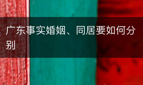 广东事实婚姻、同居要如何分别