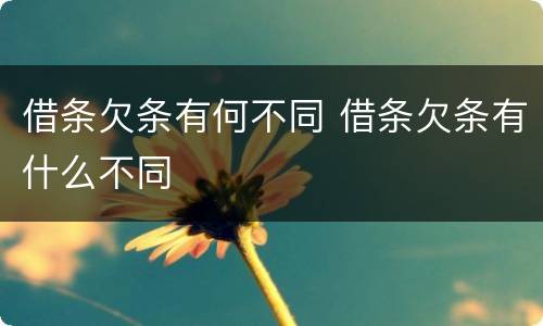 借条欠条有何不同 借条欠条有什么不同