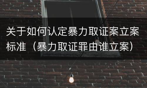 关于如何认定暴力取证案立案标准（暴力取证罪由谁立案）