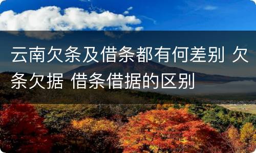云南欠条及借条都有何差别 欠条欠据 借条借据的区别
