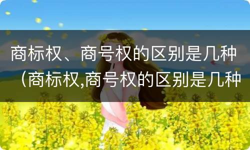 商标权、商号权的区别是几种（商标权,商号权的区别是几种）