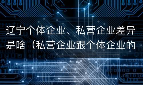 辽宁个体企业、私营企业差异是啥（私营企业跟个体企业的区别）