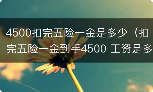 4500扣完五险一金是多少（扣完五险一金到手4500 工资是多少）