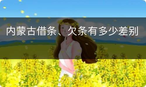 内蒙古借条、欠条有多少差别