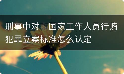 刑事中对非国家工作人员行贿犯罪立案标准怎么认定