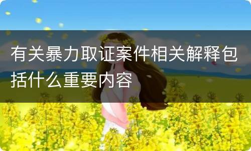 有关暴力取证案件相关解释包括什么重要内容