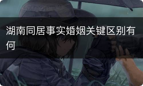 湖南同居事实婚姻关键区别有何