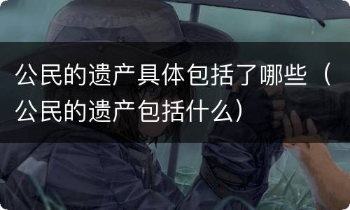 公民的遗产具体包括了哪些（公民的遗产包括什么）