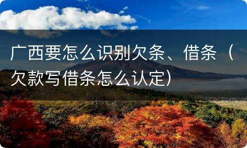 广西要怎么识别欠条、借条（欠款写借条怎么认定）