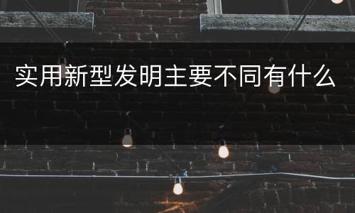 实用新型发明主要不同有什么