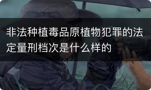 非法种植毒品原植物犯罪的法定量刑档次是什么样的