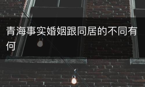 青海事实婚姻跟同居的不同有何