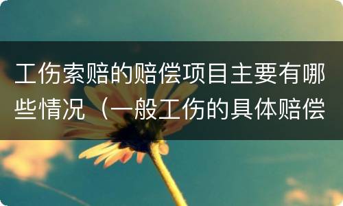 工伤索赔的赔偿项目主要有哪些情况（一般工伤的具体赔偿项目）