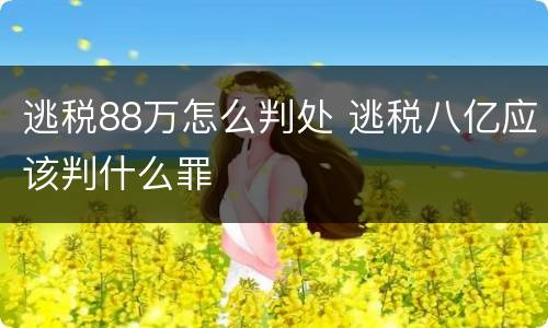 逃税88万怎么判处 逃税八亿应该判什么罪