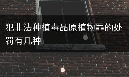 犯非法种植毒品原植物罪的处罚有几种