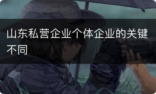 山东私营企业个体企业的关键不同