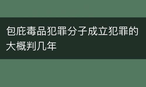 包庇毒品犯罪分子成立犯罪的大概判几年