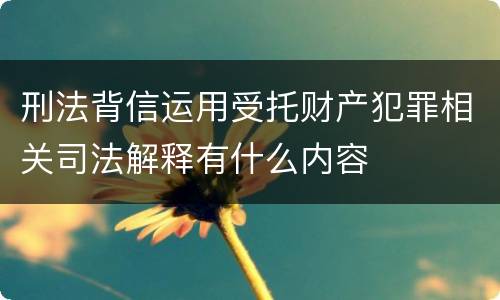 刑法背信运用受托财产犯罪相关司法解释有什么内容