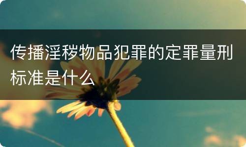 传播淫秽物品犯罪的定罪量刑标准是什么