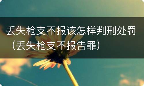 丢失枪支不报该怎样判刑处罚（丢失枪支不报告罪）