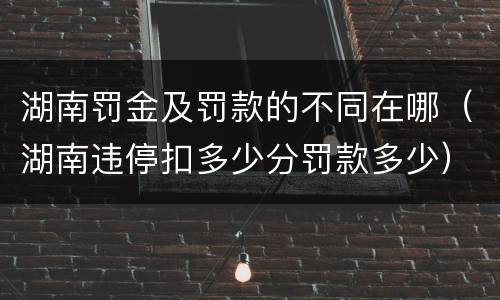 湖南罚金及罚款的不同在哪（湖南违停扣多少分罚款多少）