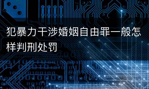 犯暴力干涉婚姻自由罪一般怎样判刑处罚