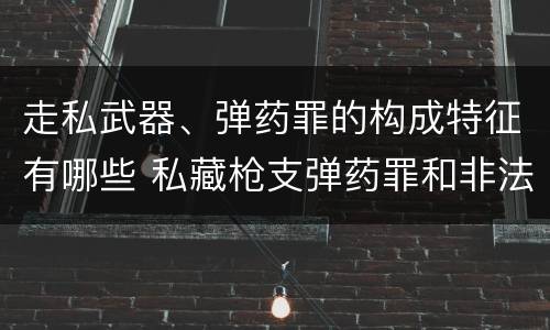 走私武器、弹药罪的构成特征有哪些 私藏枪支弹药罪和非法持有枪支弹药罪区别
